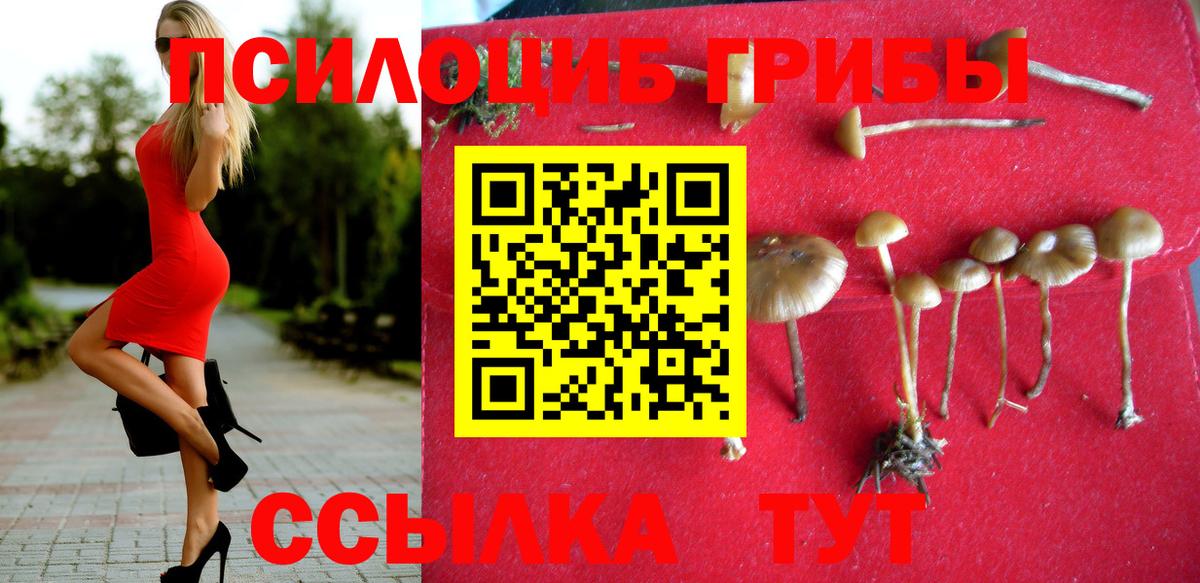 Галлюциногенные грибы GOLDEN TEACHER Россошь