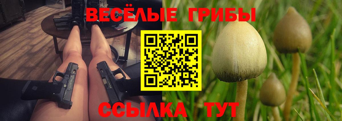Галлюциногенные грибы прущие грибы  Вход с VPN  Россошь  Псилоцибиновые грибы Psilocybine cubensis 